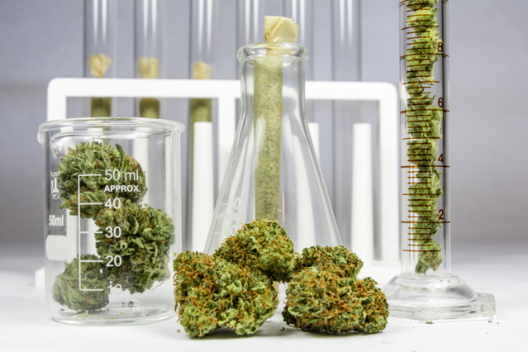 How To Read Laboratory Test Results For Hemp and Cannabis Products